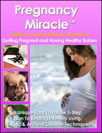 get pregnant quicker and easier on How To Get Pregnant Fast And Easy | Tips To Get Pregnant